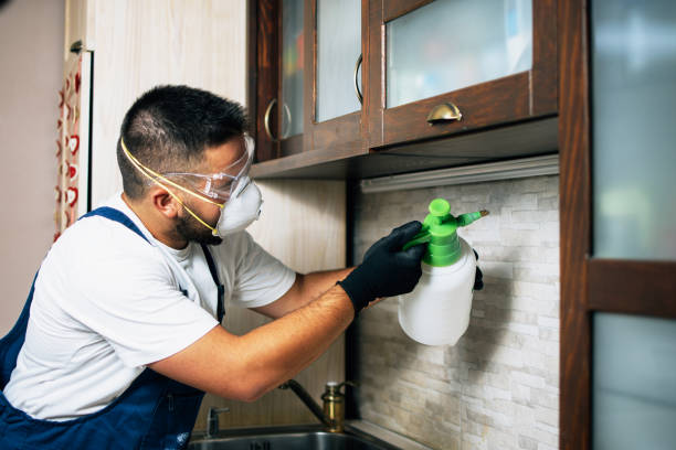 Best Cockroach Control Services  in Granville South, OH