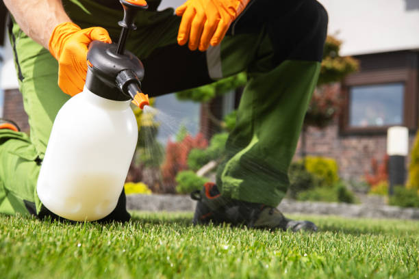 Best Local Pest Control Services  in Granville South, OH