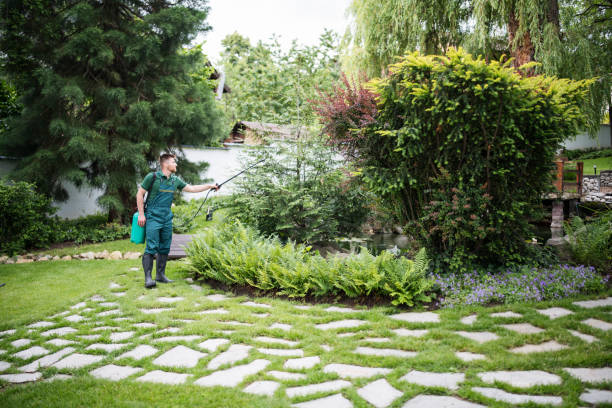 Best Pest Control for Homes  in Granville South, OH