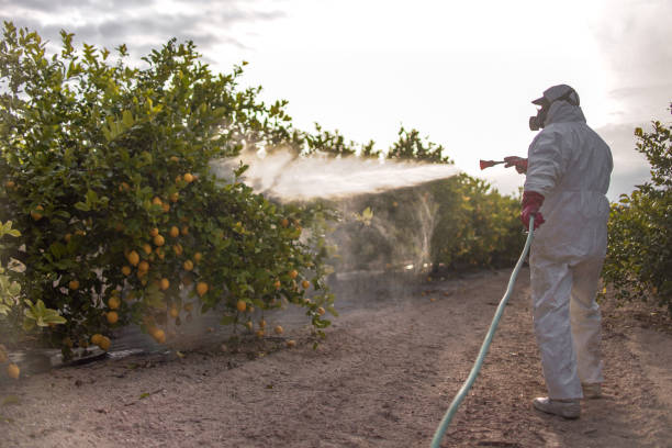 Best Best Pest Control Companies  in Granville South, OH