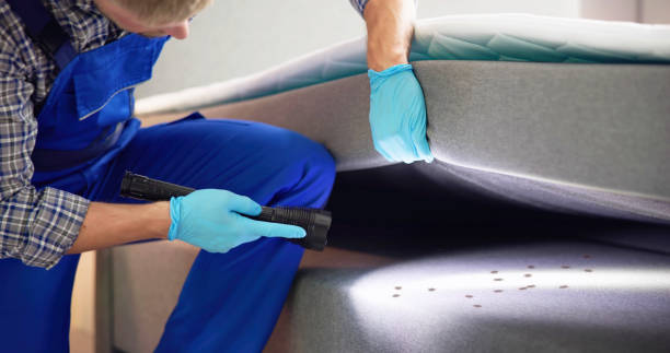 Best Pest Control Near Me  in Granville South, OH