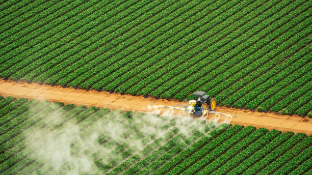 Best Commercial Pest Control Services  in Granville South, OH