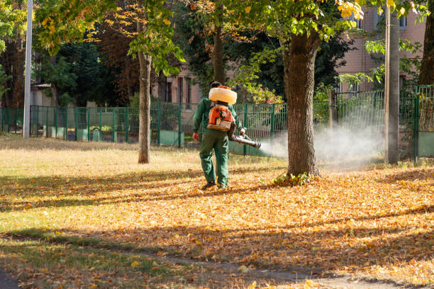 Best Mosquito Control Services  in Granville South, OH