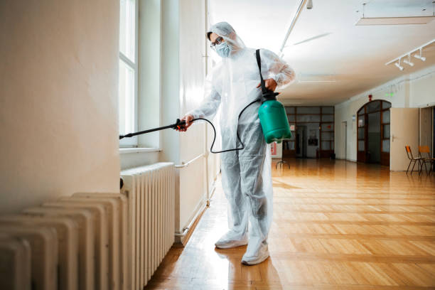 Best Wasp Removal Services  in Granville South, OH