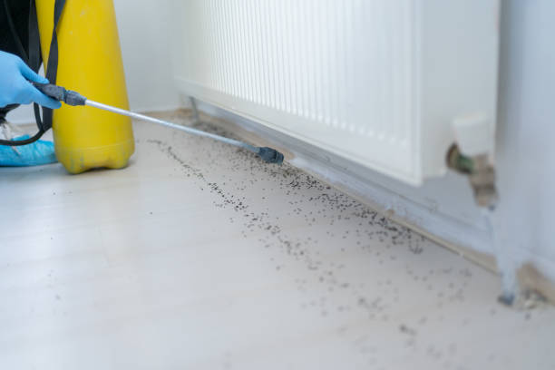 Best Emergency Pest Control  in Granville South, OH