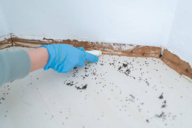 Best Pest Control for Businesses  in Granville South, OH