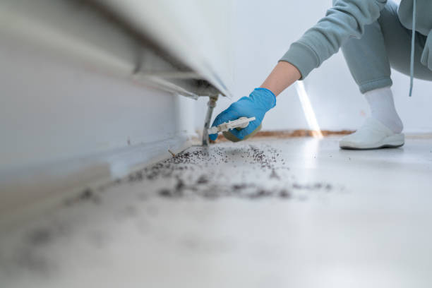 Best Ant Control Services  in Granville South, OH